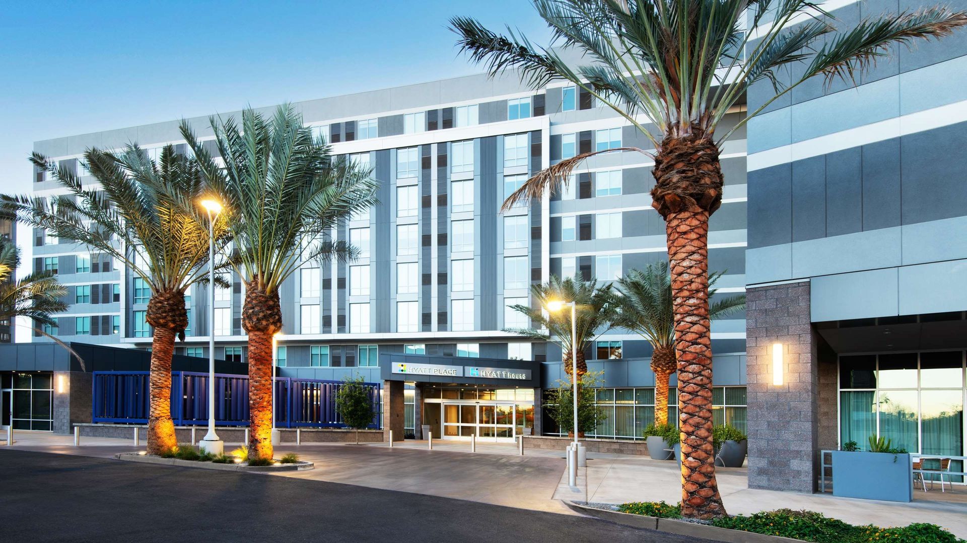 Modern hotel exterior with palm trees, driveway, and glass entrance.