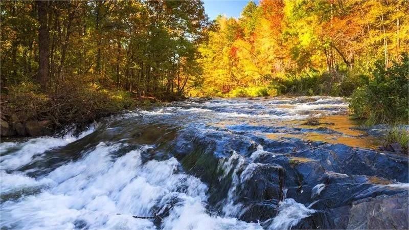 River cascading over rocks, surrounded by trees with autumn foliage.