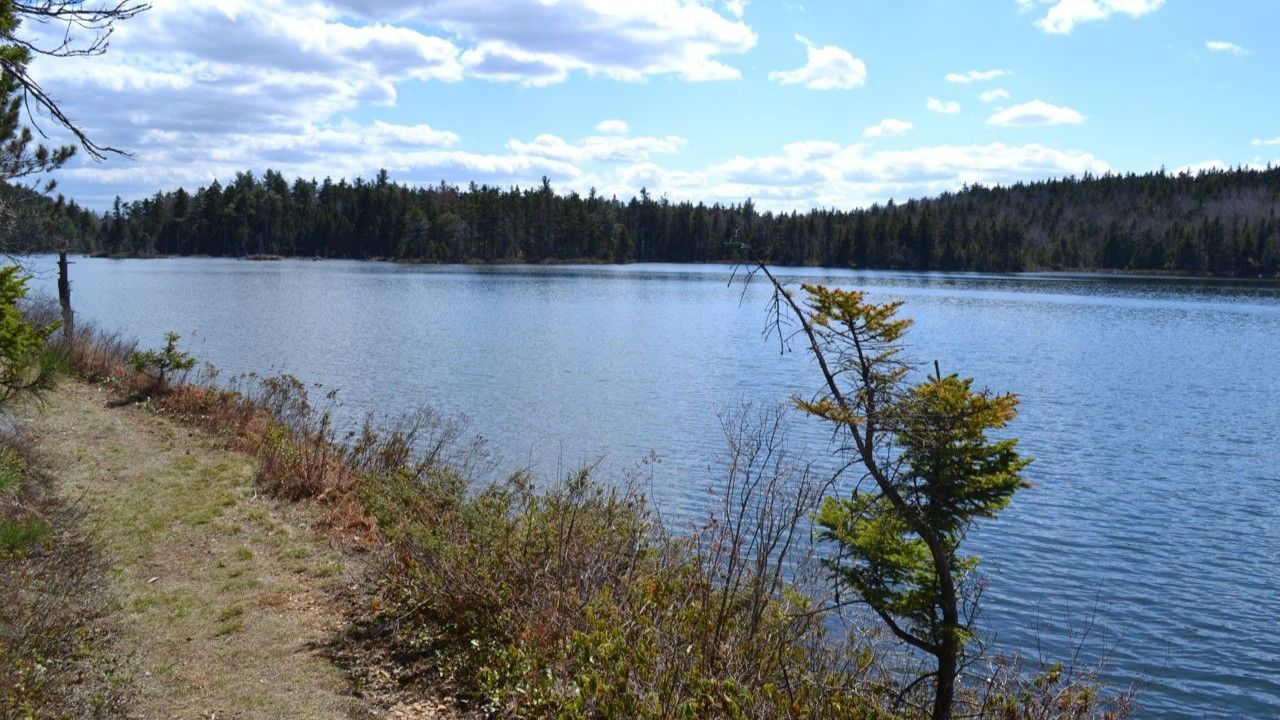 Calm lake with forested shoreline under a partly cloudy sky.