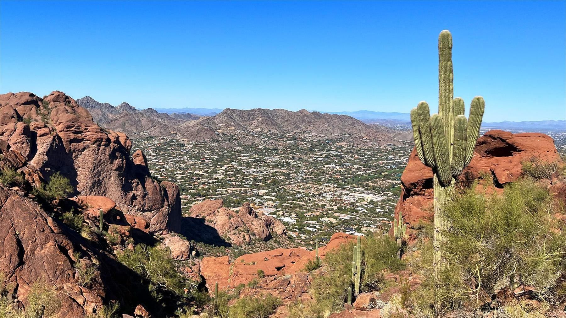 View of a city from a rocky desert hillside; a large saguaro cactus in the foreground.