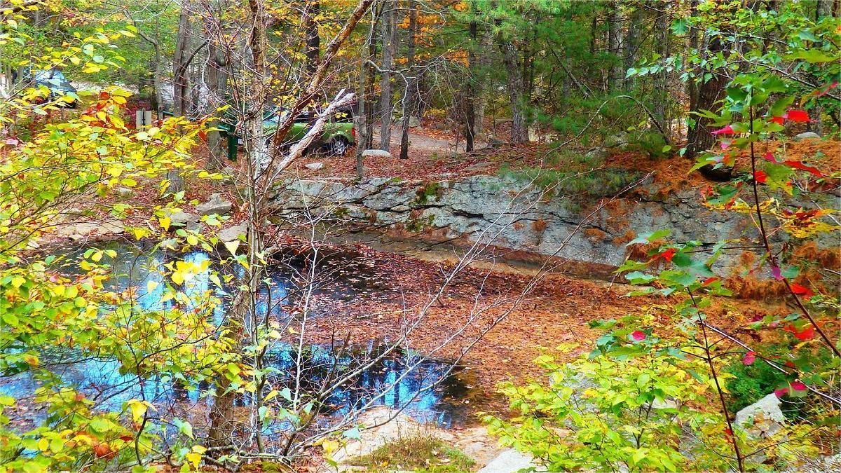 Autumnal trees reflected in calm water, surrounded by foliage of yellow, orange, and green.