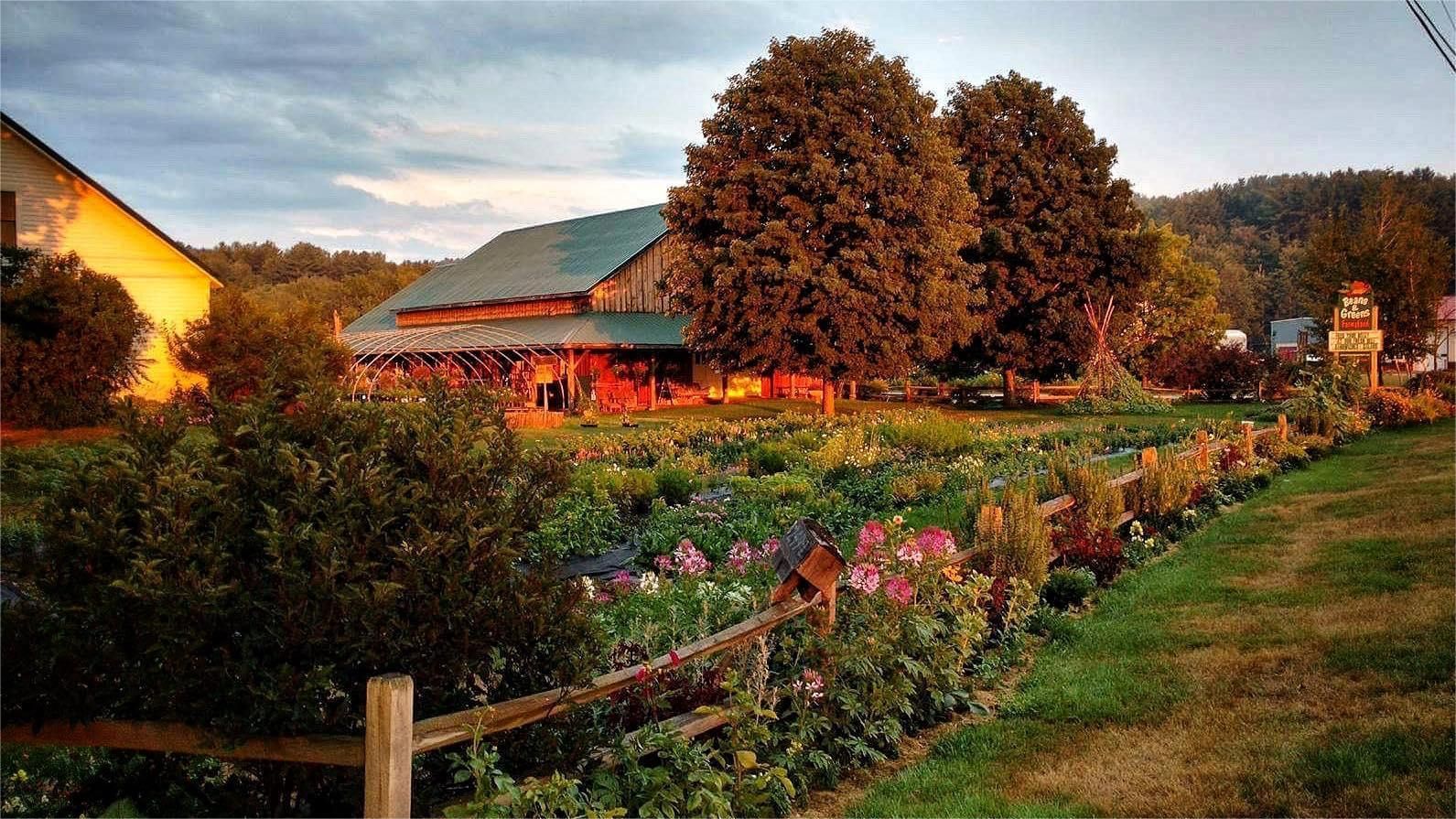 Farmhouse and gardens at dusk, with trees and a wooden fence.
