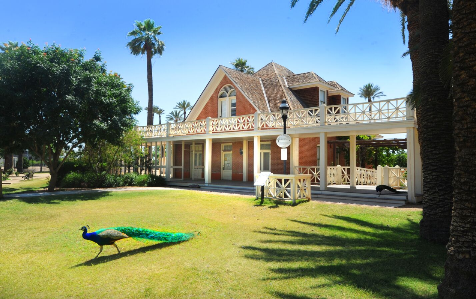 Step Back in Time at Sahuaro Ranch Park