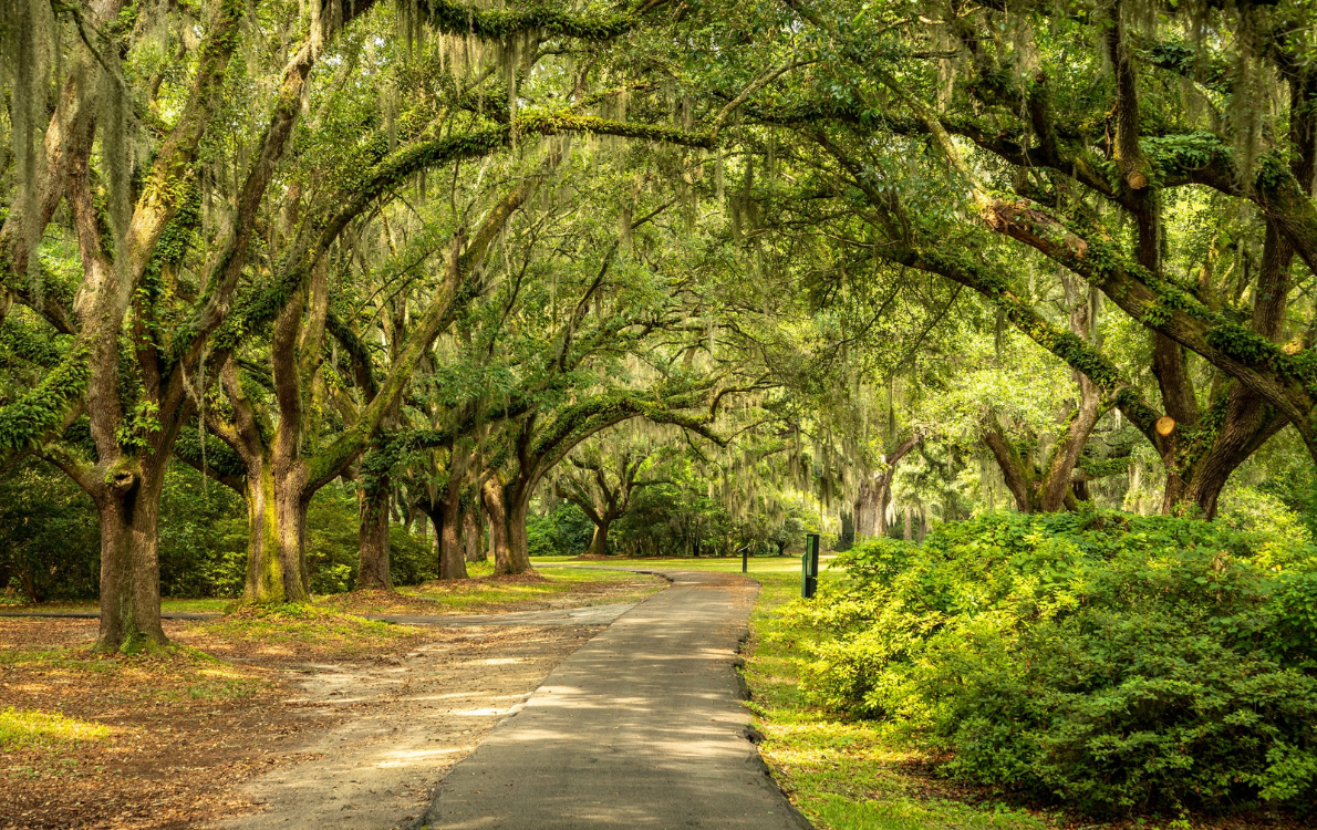 Explore Charles Towne Landing State historic site in Charleston, SC