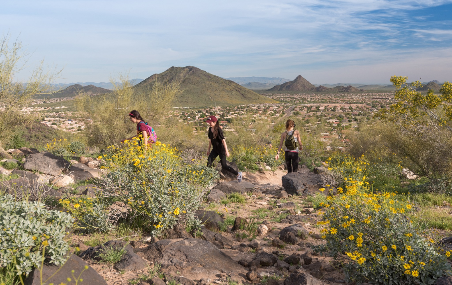 Hike Through the Scenic Thunderbird Conservation Park