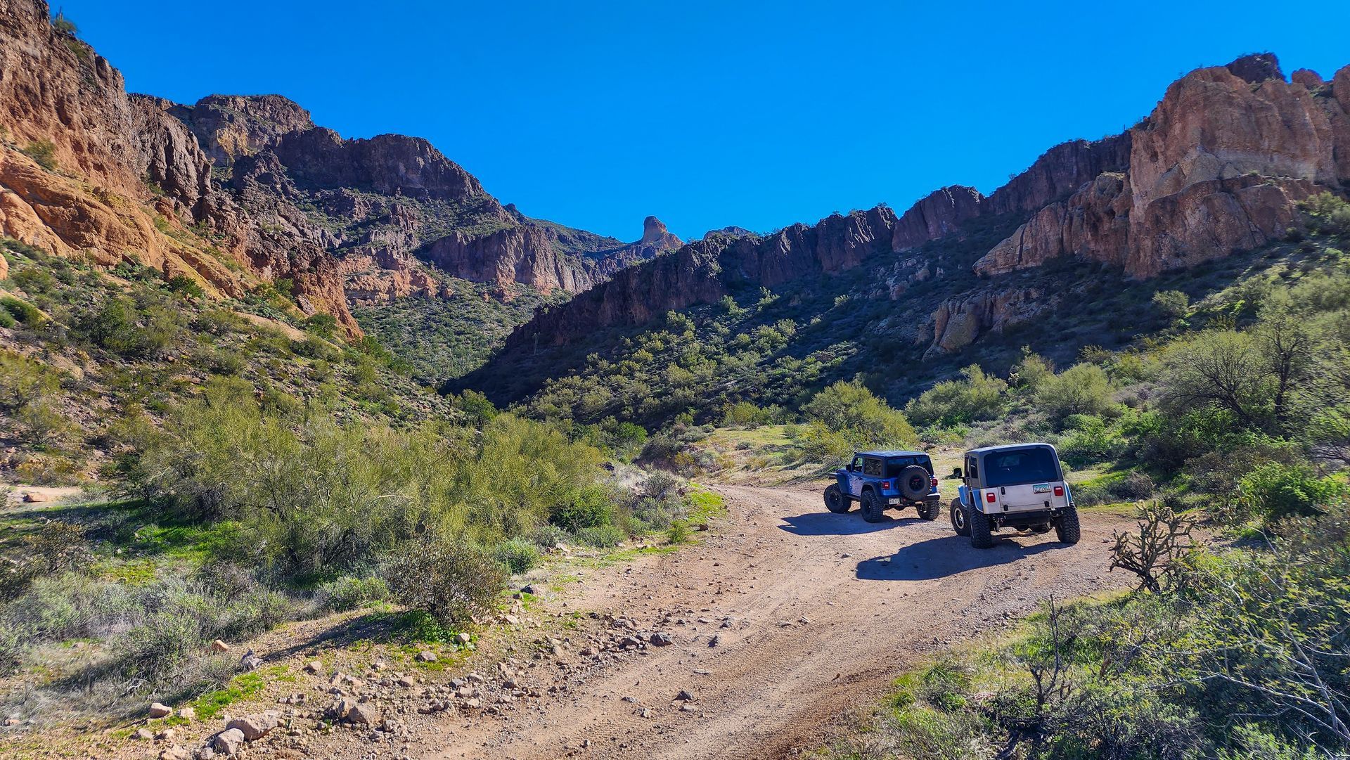 Jeeps driving on a dirt road in a canyon with rocky cliffs and blue sky.