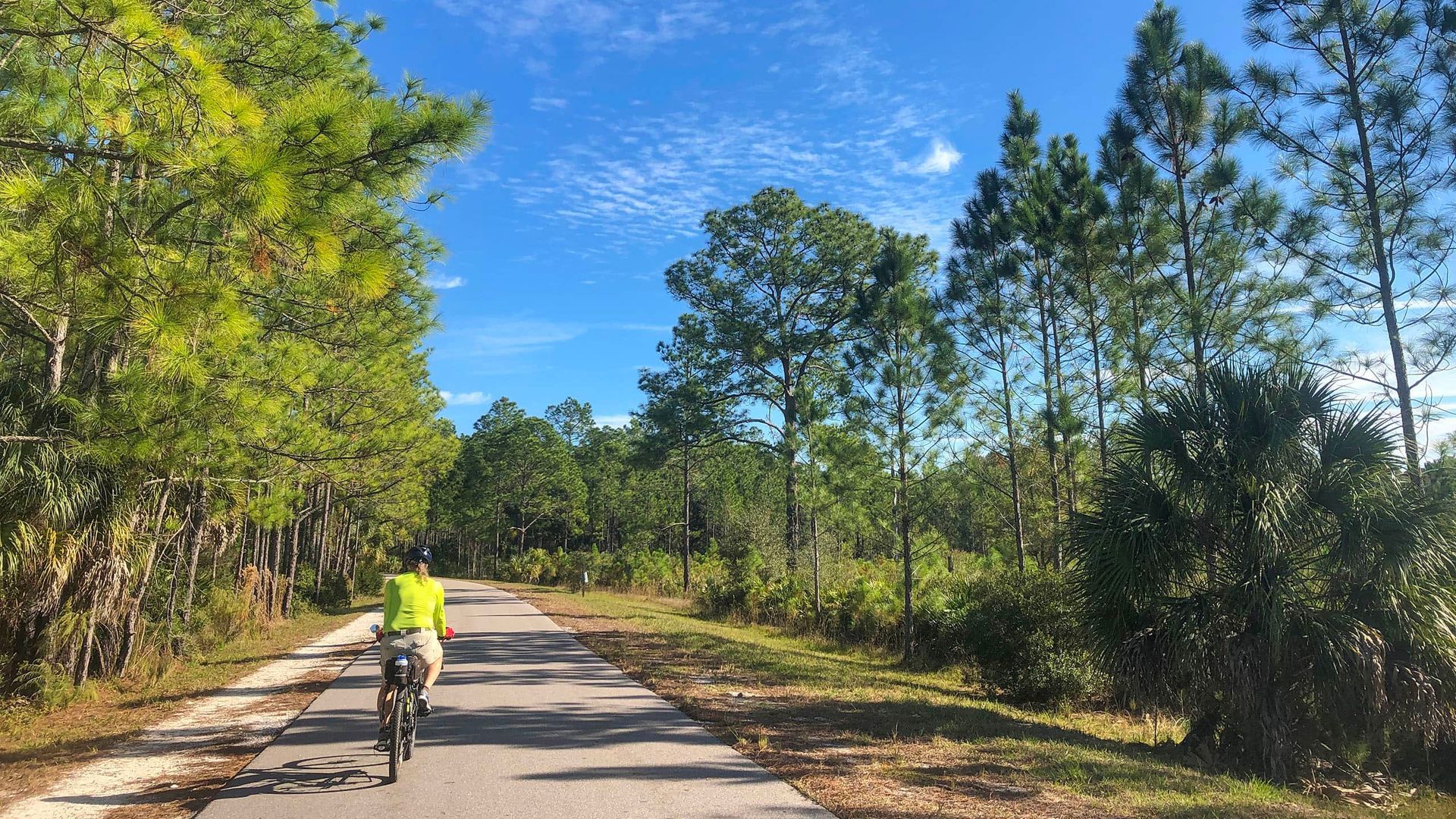 Cyclist on paved path through a sunny forest, blue sky overhead.