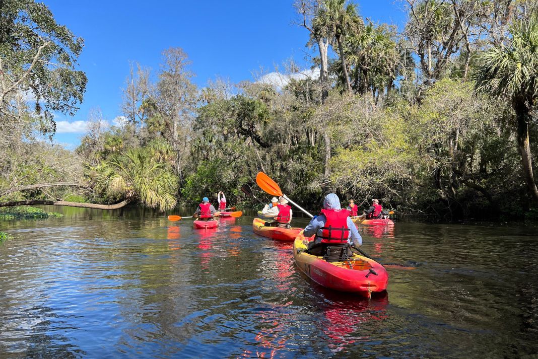 Kayakers paddling down a river surrounded by lush green trees under a blue sky.