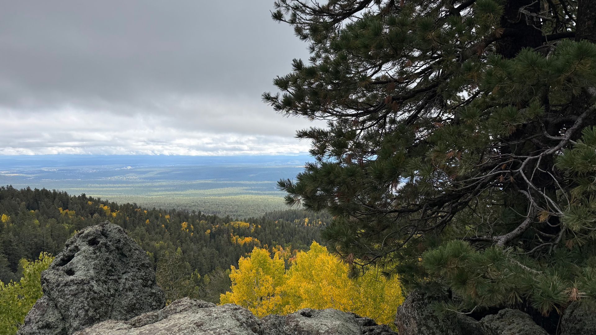 Overlook of a valley, with green and yellow trees, under a cloudy sky.