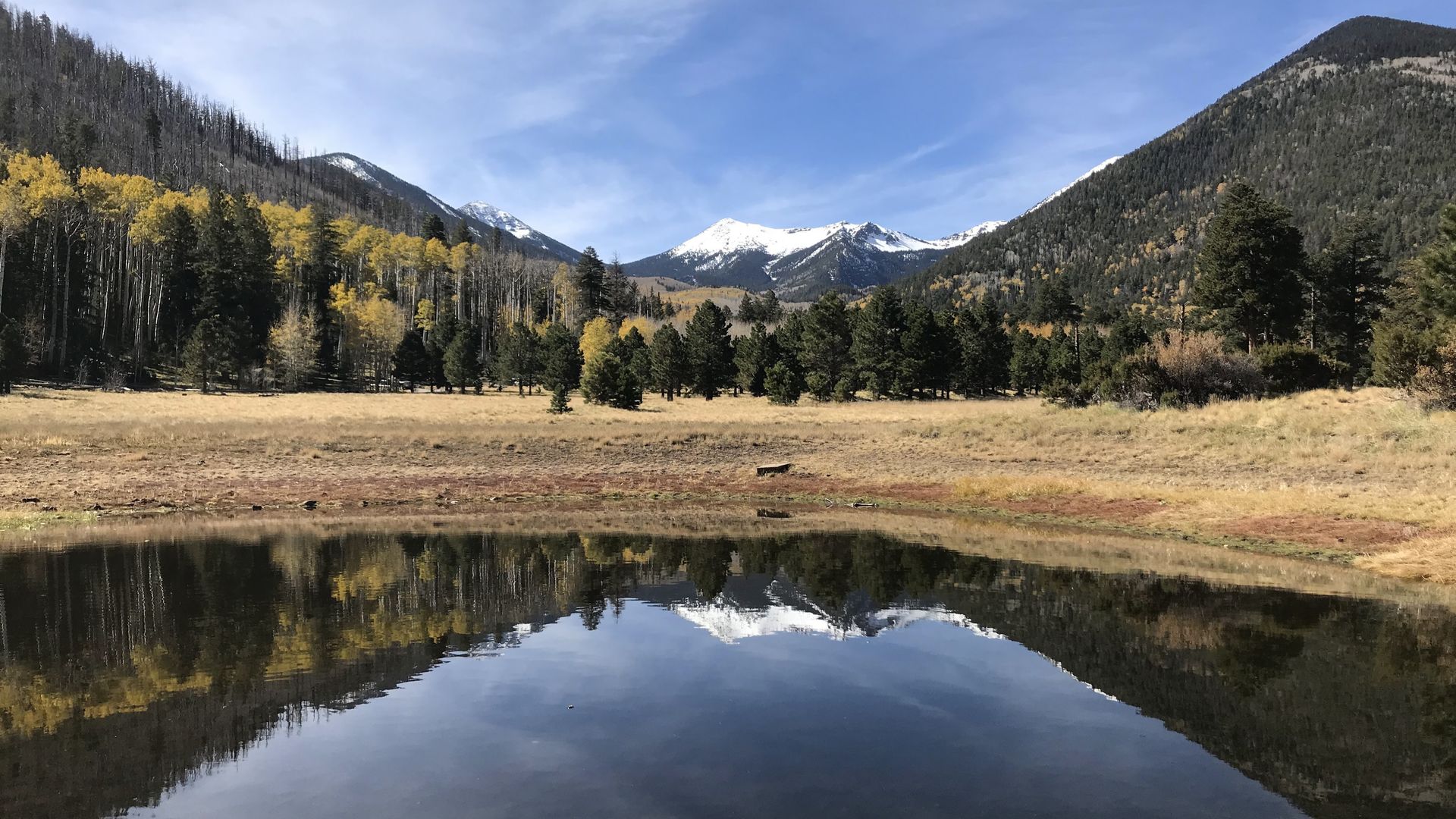 Mountains reflected in a calm pond, with trees and a field in the foreground, under a blue sky.