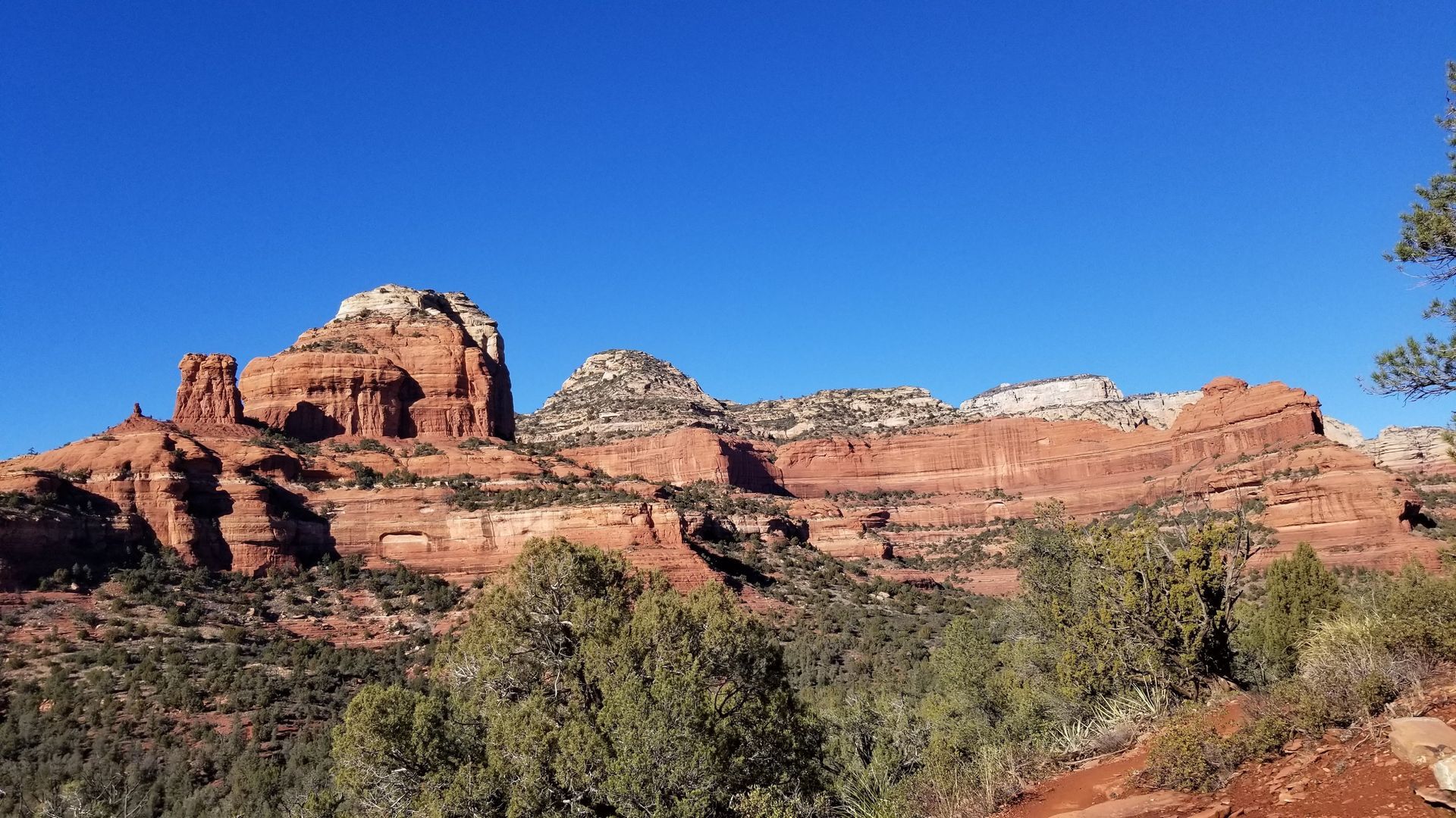 Red rock formations under a bright blue sky, with green shrubbery in the foreground.