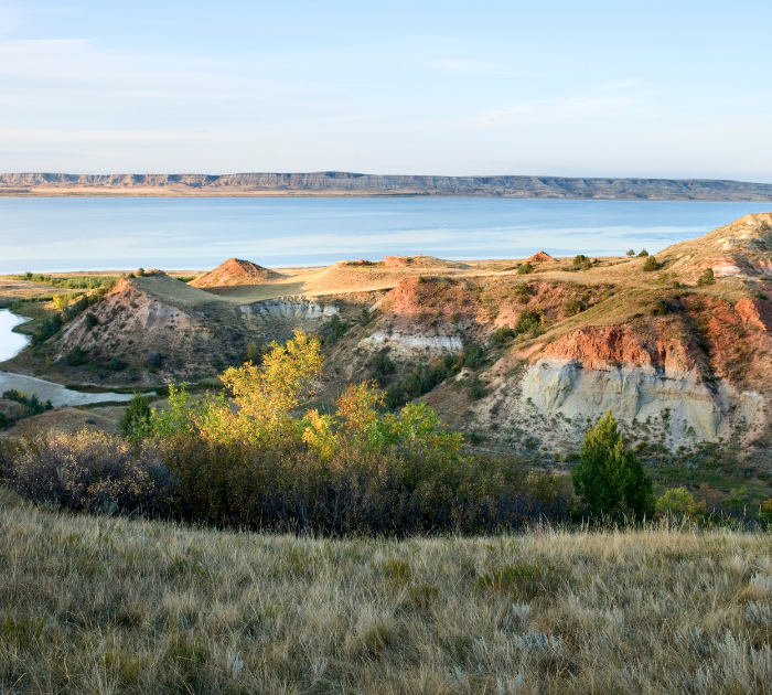 A rocky hillside in Maine with trees and Atlantic ocean in the background