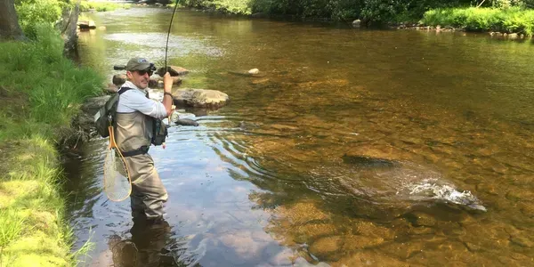 Man fly-fishing in a river. He stands in the water, casting a line. Clear water, greenery, sunny day.