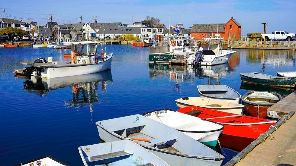 Boats docked in a harbor with buildings and a red shack in the background under a blue sky.