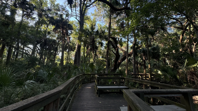 Sea Pines Forest Preserve