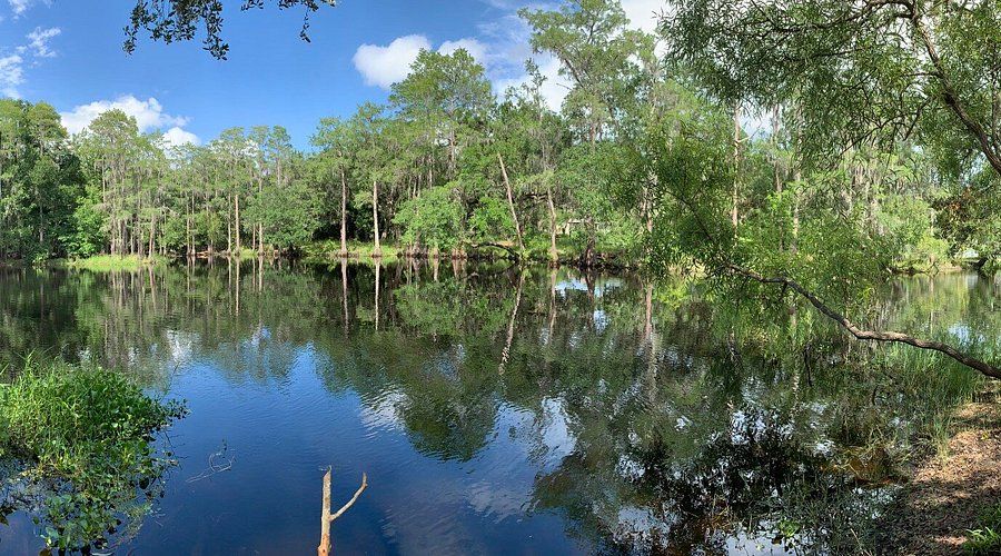Tranquil lake reflecting trees under a blue sky. Green foliage surrounds the water.