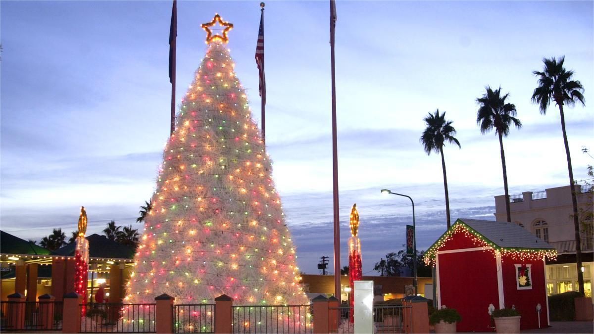 Christmas tree covered in white lights and a star on top; palm trees in the background.