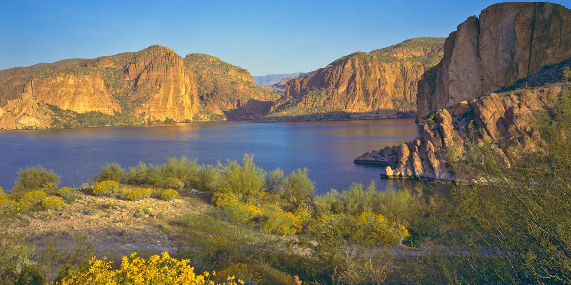 Scenic view of a lake surrounded by rocky mountains under a blue sky. Yellow and green plants in foreground.