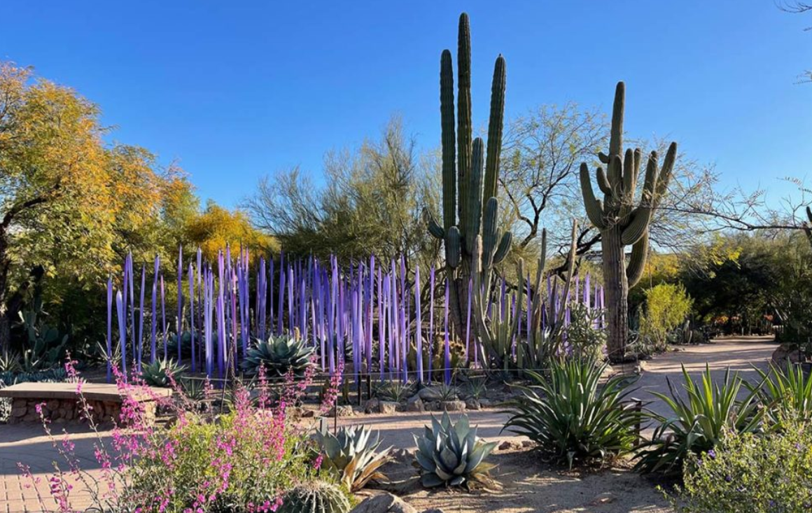 Chihuly in the Desert