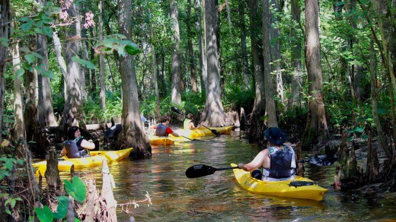 Kayakers paddling through a narrow waterway lined with trees. Yellow kayaks contrast with the water and foliage.