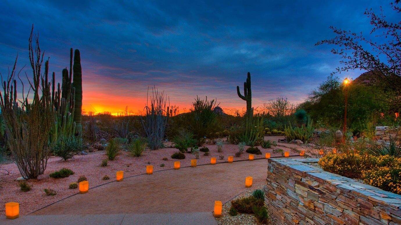 Sunset over a desert landscape with cacti and illuminated pathway.