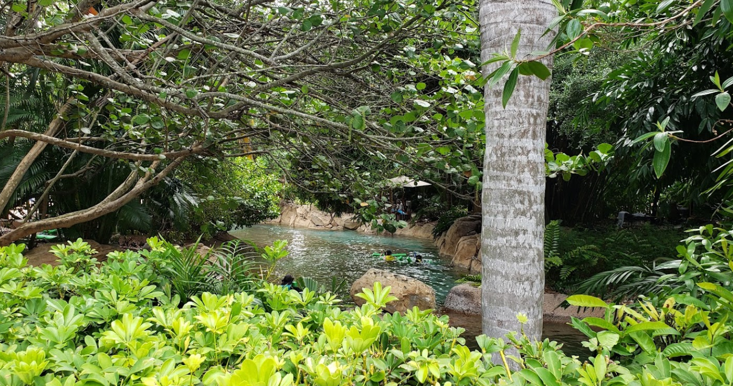 a family swimming around Discovery Cove under a canopy of trees. Everyone is wearing life jackets