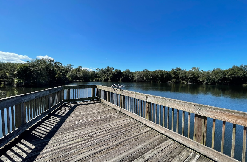 pov of standing on a pier over Eagle Lake. In the distances, beyond the pier, there is water and the shore, thick with greenery