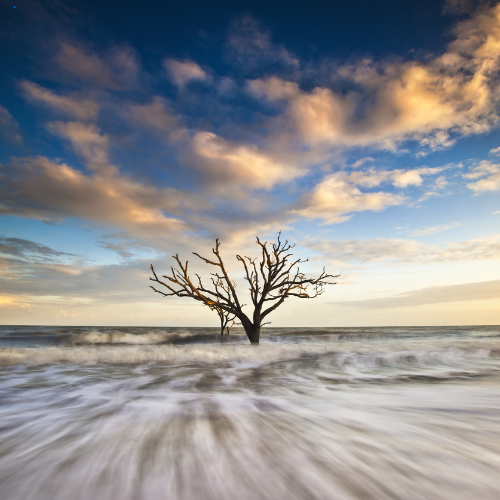 Edisto Beach Airbnb & Vacation Rental Management