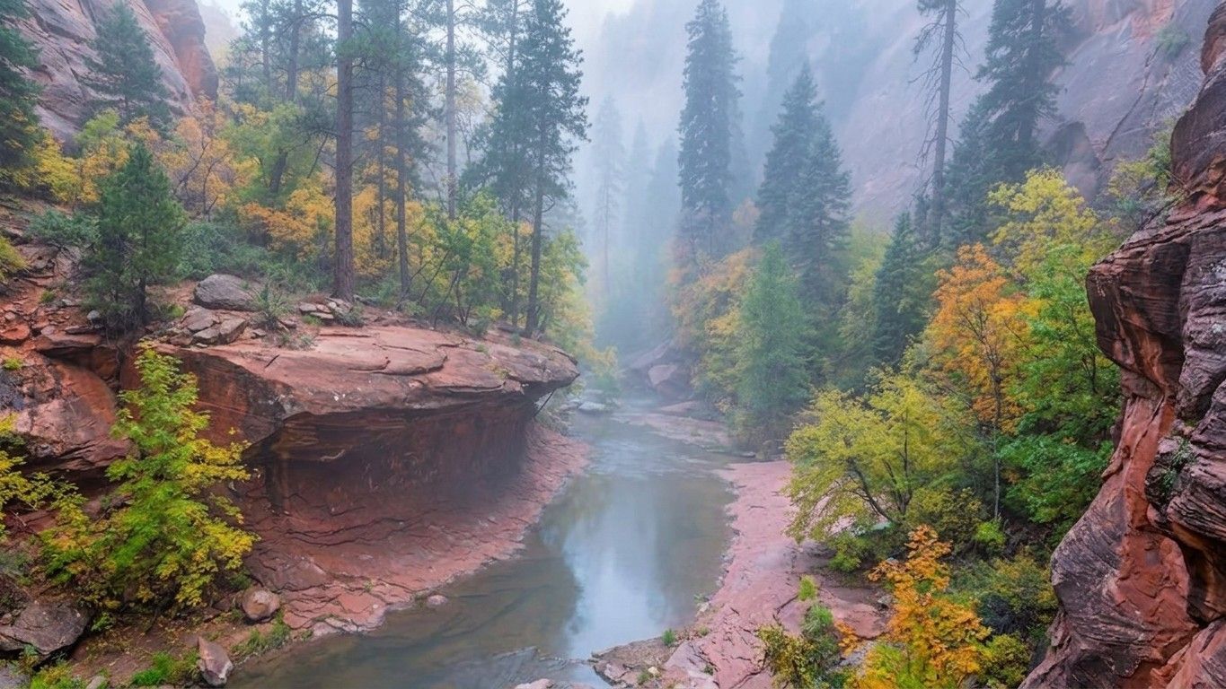 Misty forest canyon with a winding river, red rock cliffs, and autumn foliage