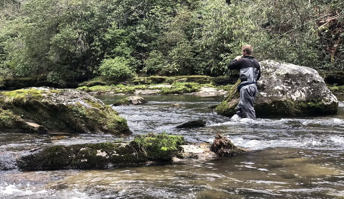 Fisherman wading in creek