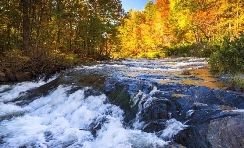 A rushing river cascades over rocks, surrounded by vibrant autumn trees with golden and orange leaves.