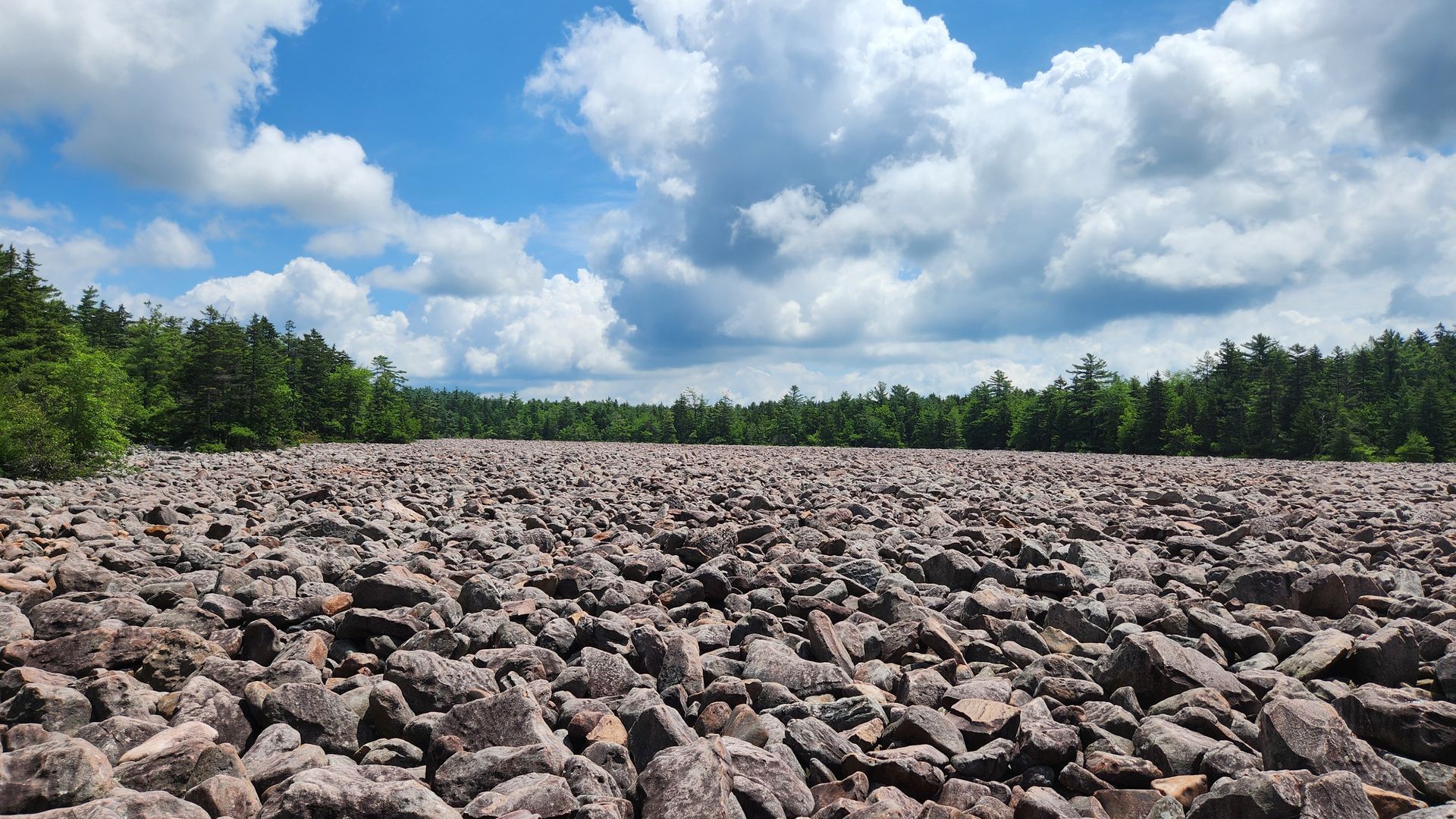 Vast field of dark rocks under a blue sky with fluffy clouds. Forest in the background.