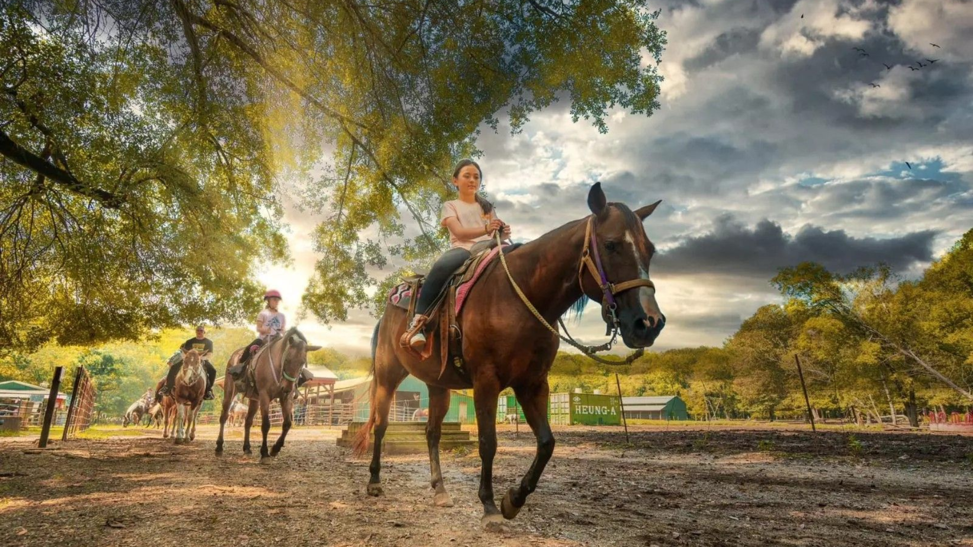 Girl riding brown horse, leading two others on path. Sunlight through trees, cloudy sky, green backdrop.