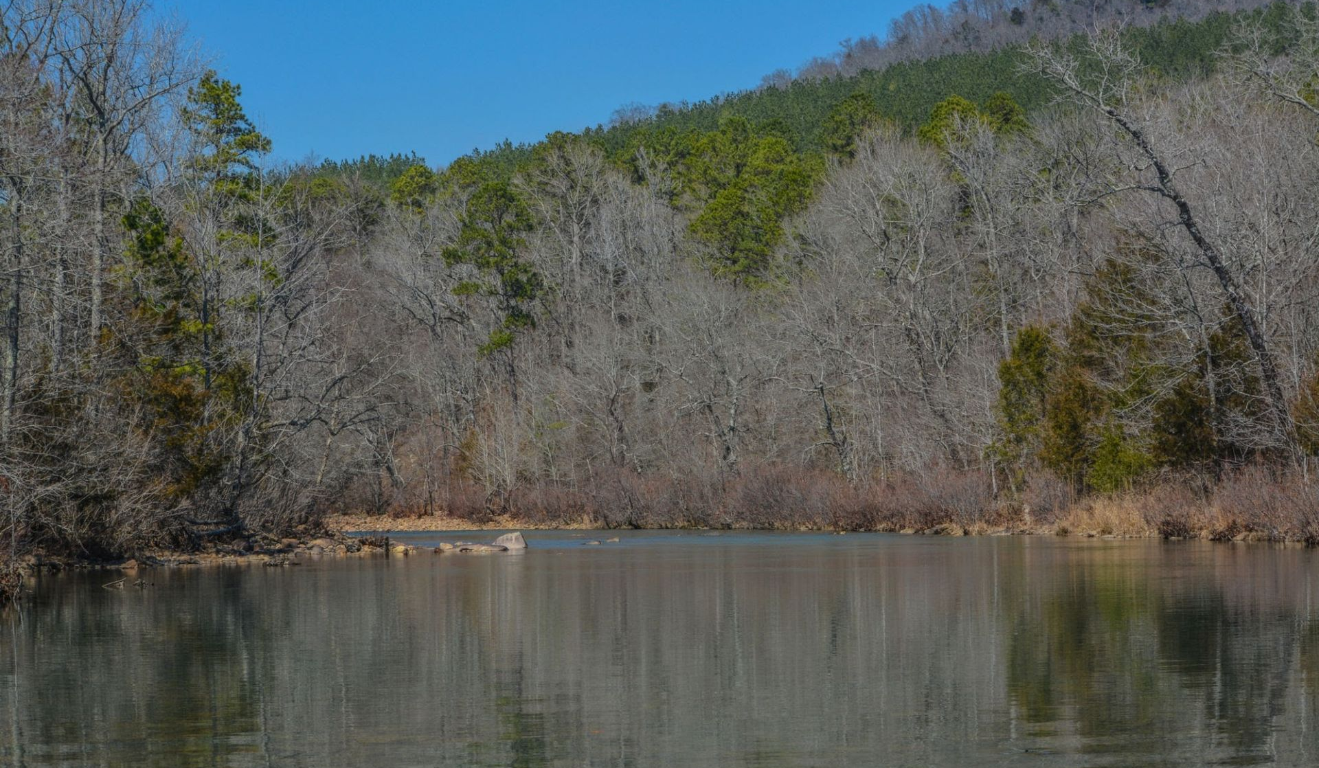 Still lake reflects bare trees and a forested hillside under a clear blue sky.