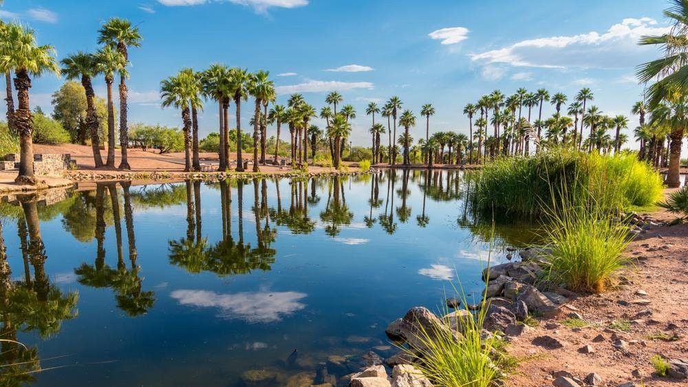Palm trees reflected in a calm lake under a blue sky.