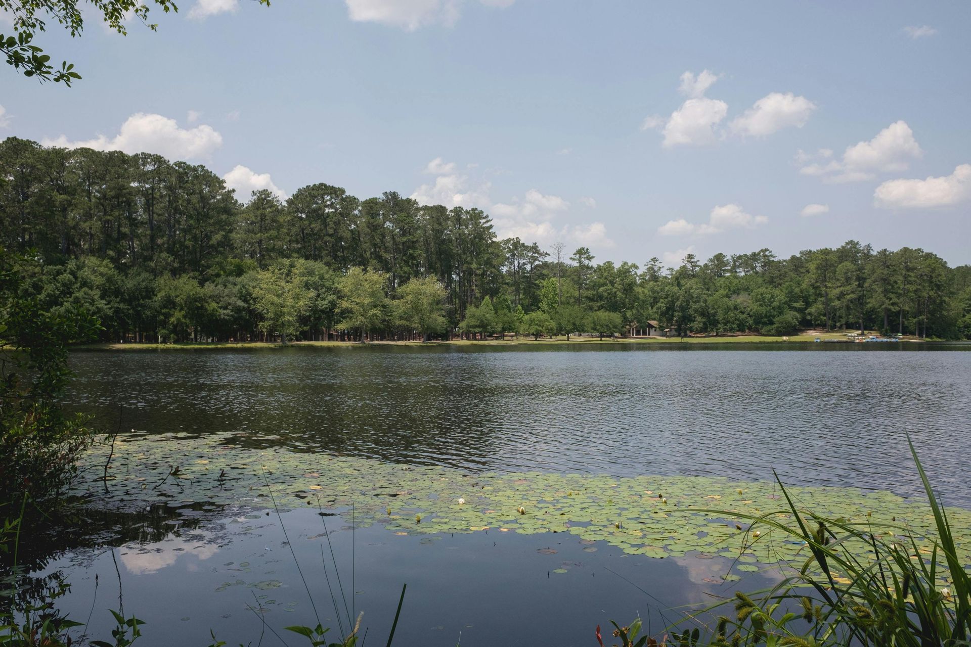South Carolina vacation rental management
