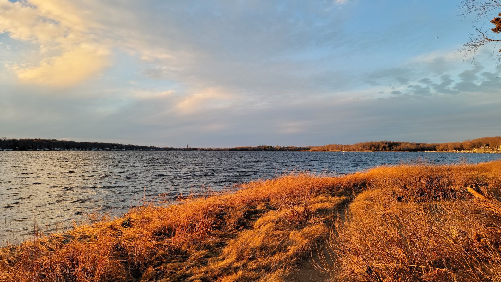 Golden reeds in the foreground with a vast lake under a cloudy, colorful sky at sunset.