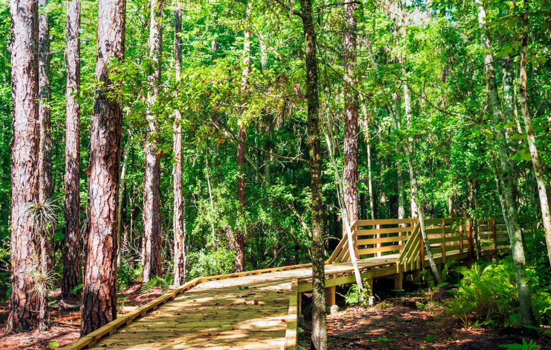 There is a wooden bridge in on the Shingle Creek Trail