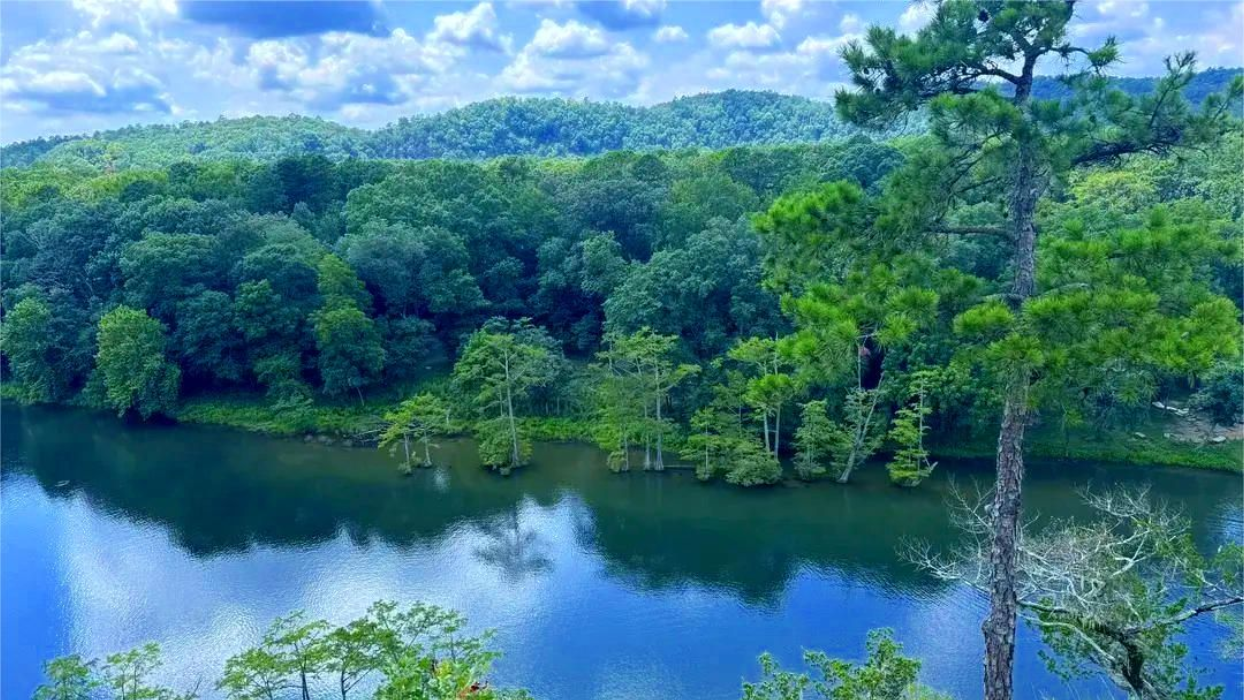 Lush green forest and trees surround a calm blue lake under a cloudy sky.