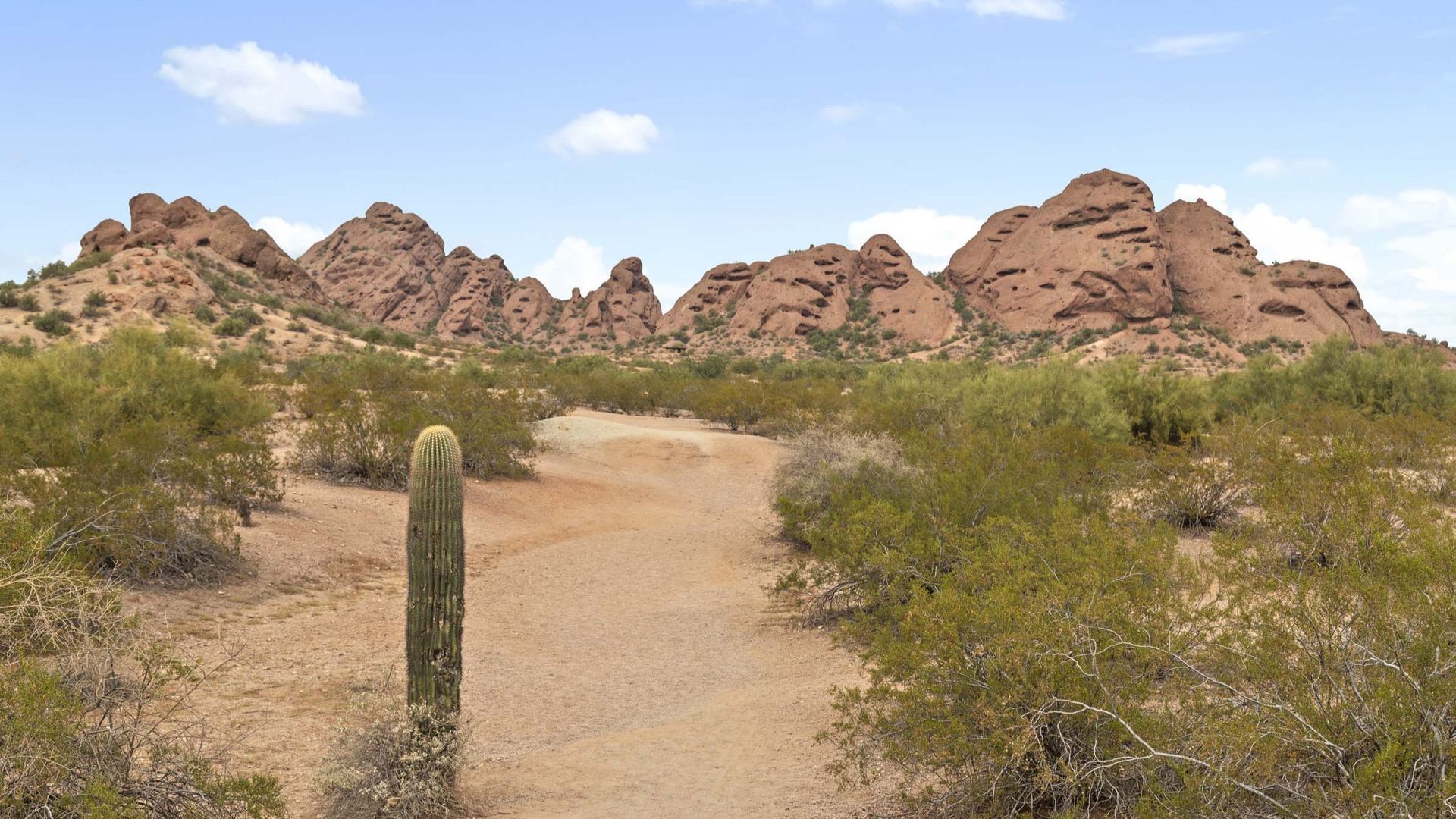 Desert landscape with a dirt path leading towards red rock formations, surrounded by desert plants and a blue sky.