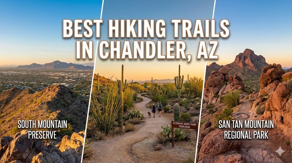 Collage of three hiking trails in Chandler, AZ: South Mountain Preserve, Desert path with cacti, and San Tan Mountain Regional Park.
