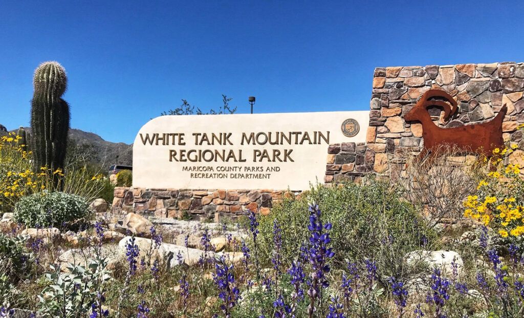 Sign for White Tank Mountain Regional Park with a rusty ram sculpture, desert plants, and blue sky.