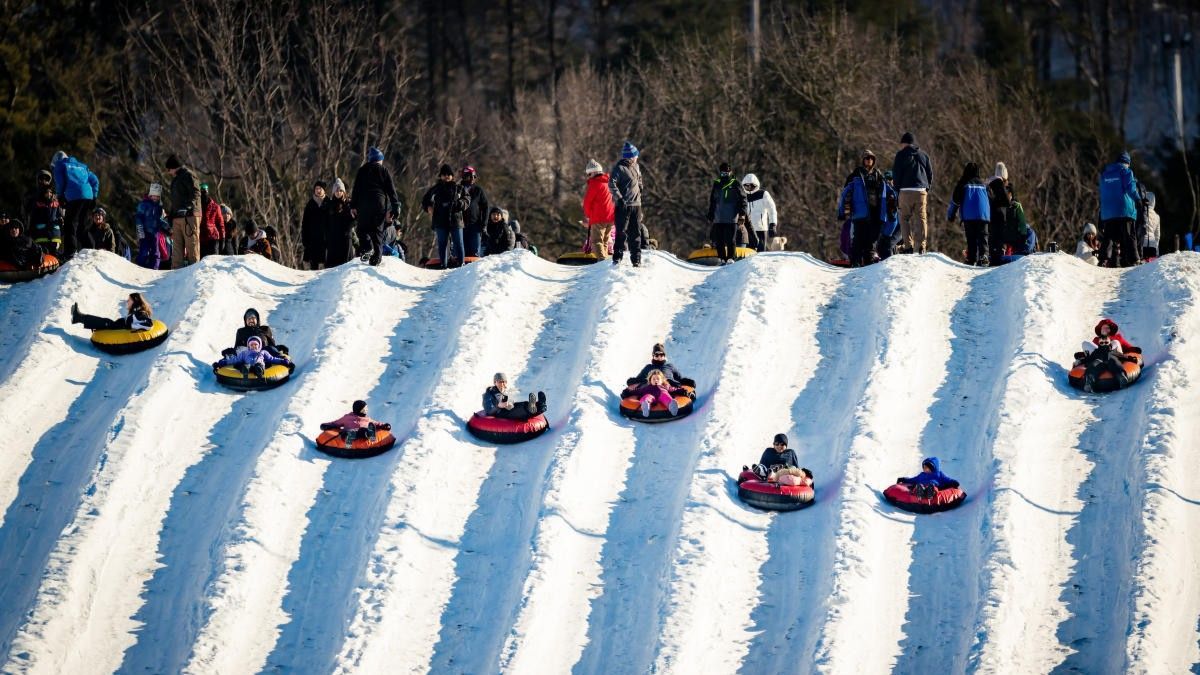 People snow tubing down a large, snowy hill.