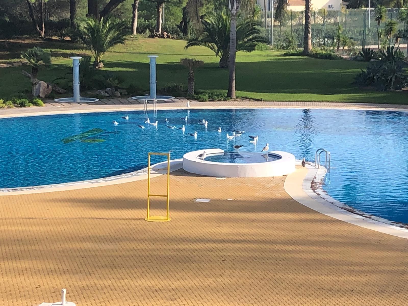 Algarve Pools