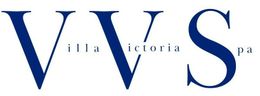 Logo VVS
