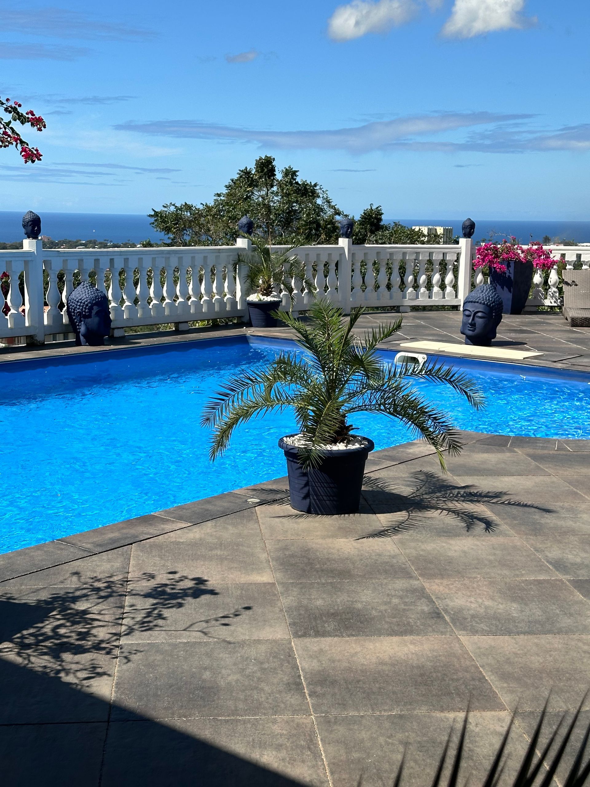 Piscine du SPA de Fort-de-France