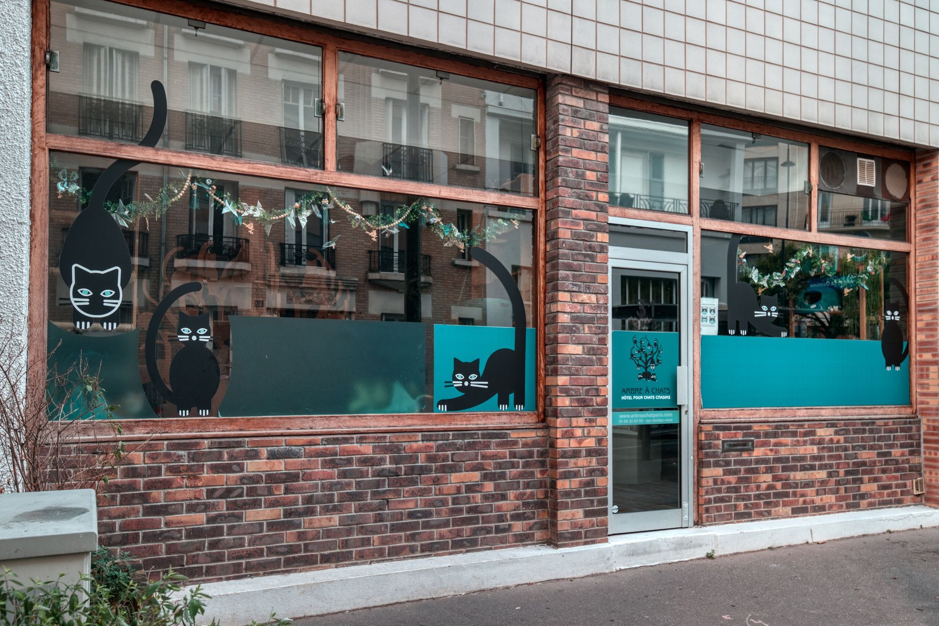 Devanture de la pension pour chats à Paris - L'Arbre à Chats
