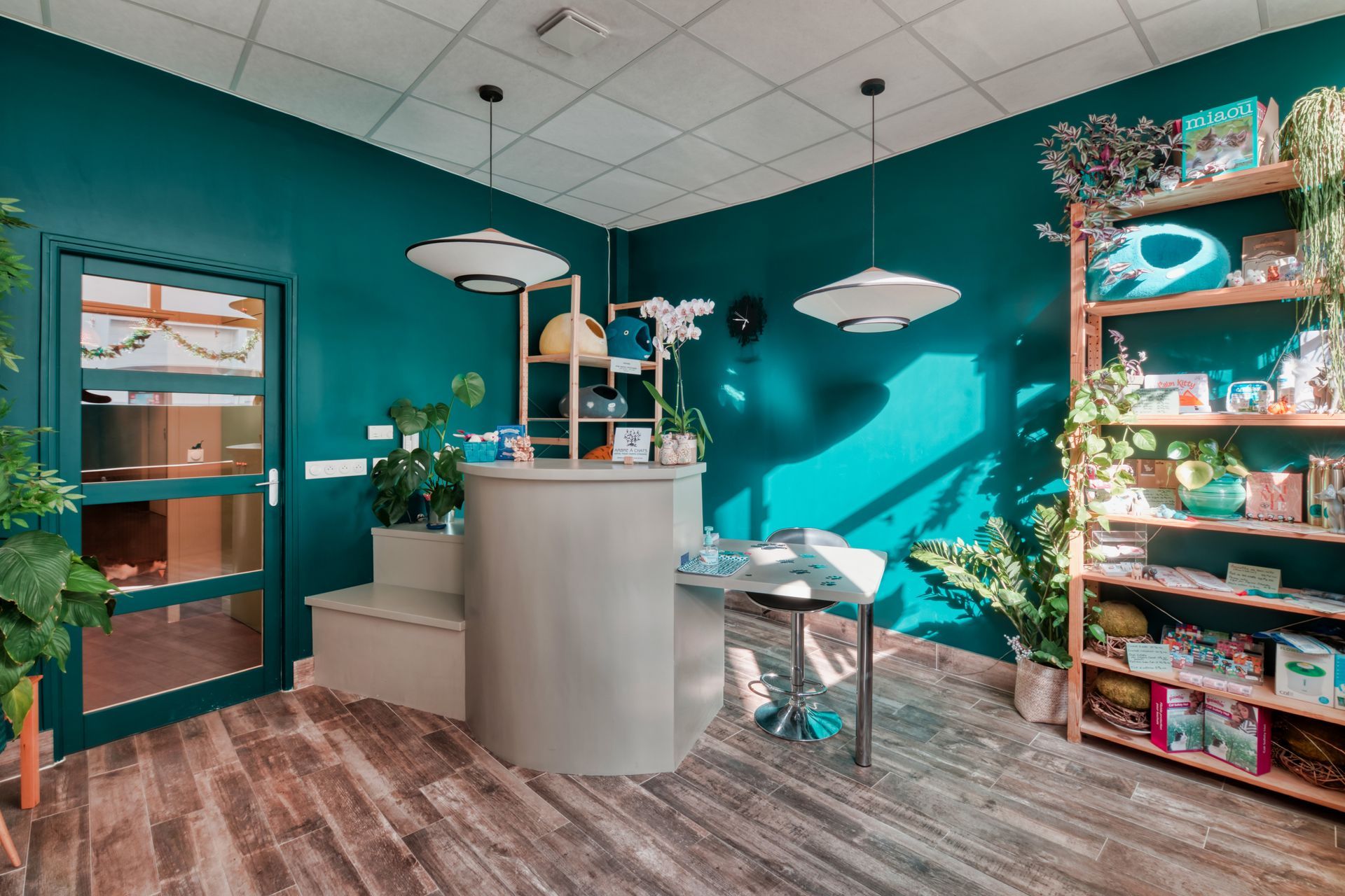 Accueil de la pension pour chats à Paris - L'Arbre à Chats