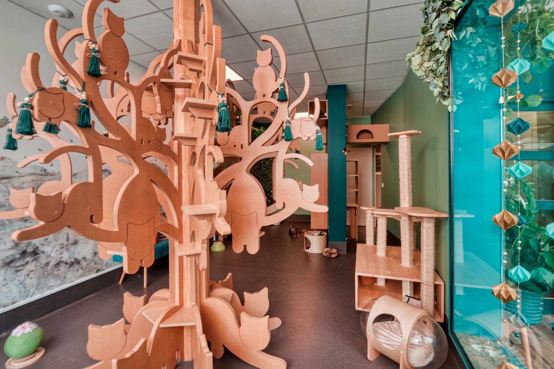 Salle de jeux de la pension pour chats à Paris - L'Arbre à Chats