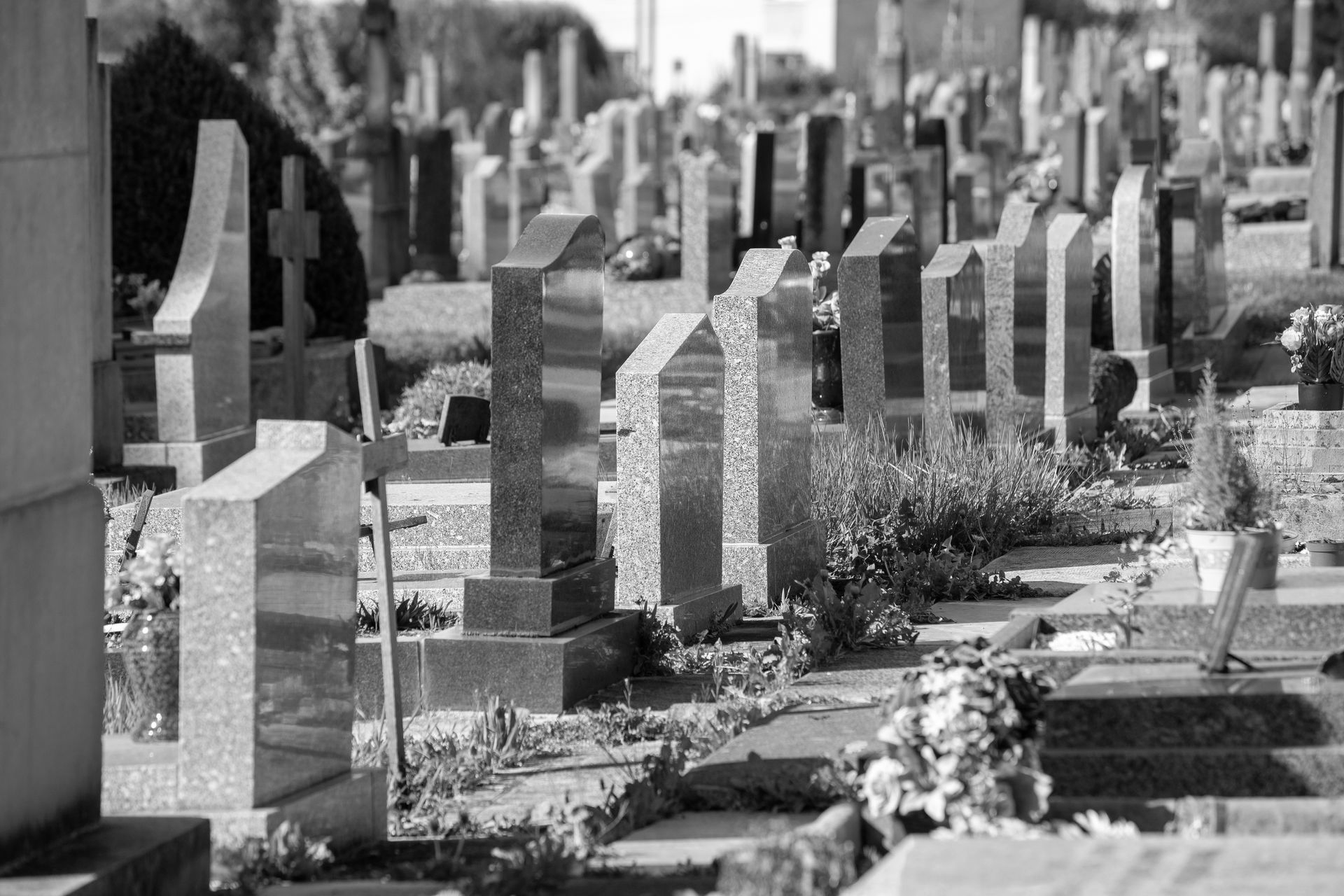 Rangées de pierres tombales dans un cimetière par une journée ensoleillée.